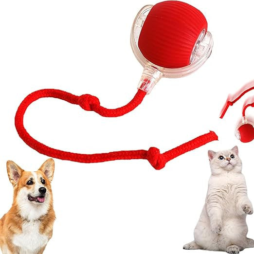 Electric Rolling Pet Ball