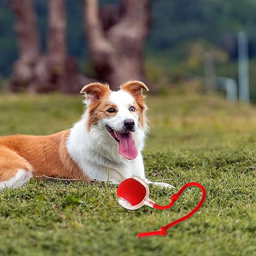 Electric Rolling Pet Ball